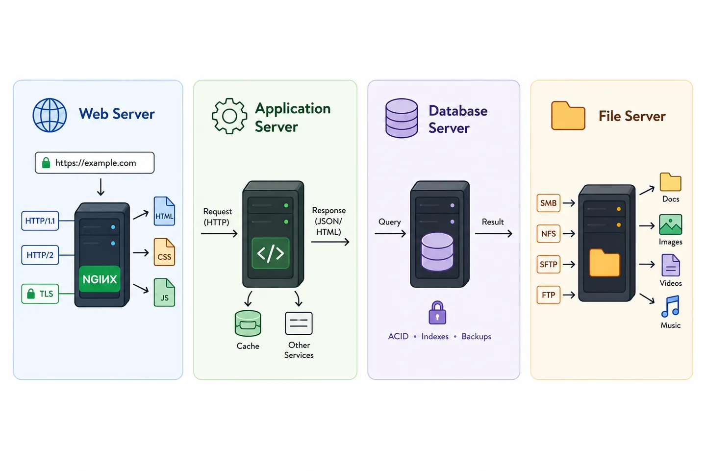 The four main types of servers shown as four panels, a web server handling HTTP, TLS and static files, an application server running your code, a database server owning the data, and a file server storing and sharing files, under the caption four jobs not four machines.